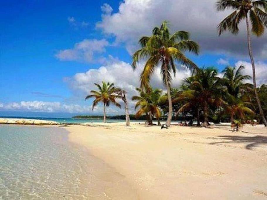 Apartamento La Playa Sainte-Anne  Exterior foto